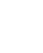 Non-Performing Loans (NPL)
