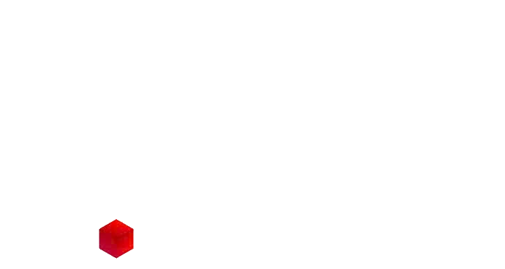 Logo footer
